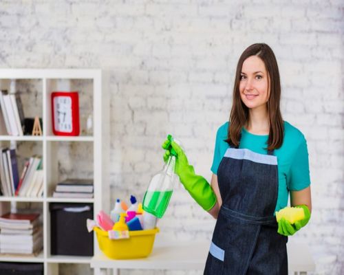 شغالات حبشيات الرياض